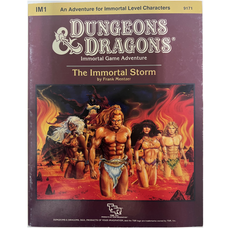 The Immortal Storm - Abenteuer IM1 für Immortal Level Characters - Dungeons & Dragons D&D - Original von 1986